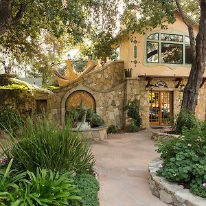 The Emerald Iguana Inn